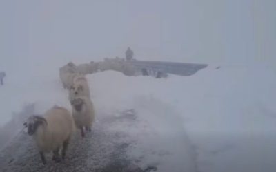 oi-blocate-pe-transalpina.jpg