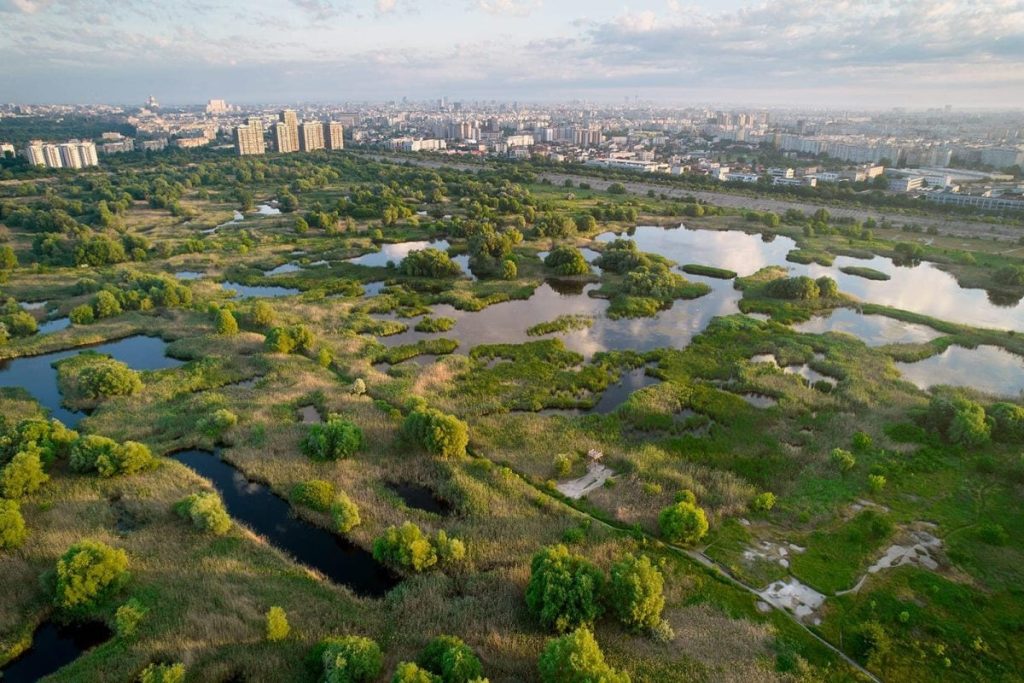 parcul-vacaresti-bucuresti-e1661919840216.jpg