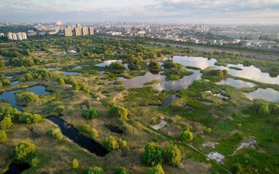 parcul-vacaresti-bucuresti-e1661919840216.jpg