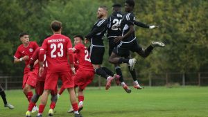 Pedeapsa impusă de federație după ce s-a constatat că desfășurarea reprizei a fost amânată din cauza unui câine care a pătruns pe teren