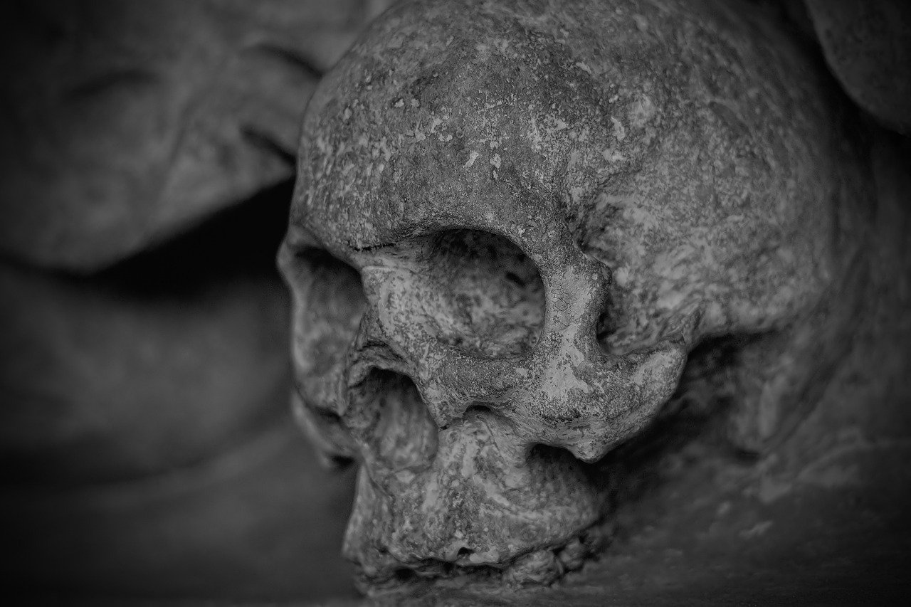 [ad_1] Șapte schelete găsite într-un mormânt comun din Croația sunt cel mai probabil ale unor soldați romani antic, conform unui studiu recent