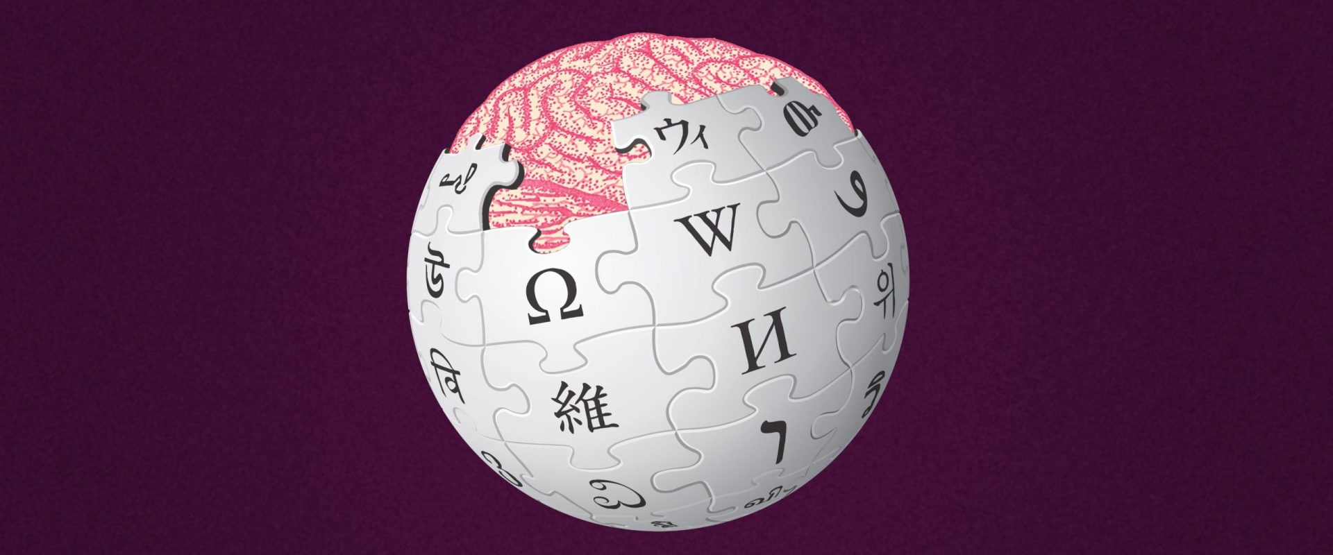 wikipedia-se-pregateste-pentru-inteligenta-artificiala-scaled.jpg