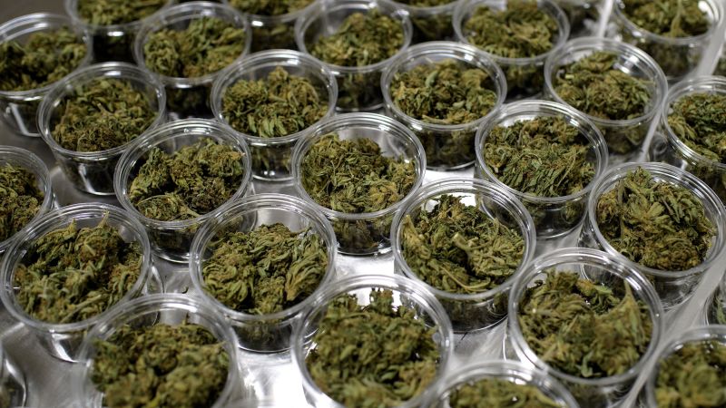 Copiii lor depind de CBD pentru a trata epilepsia. Oamenii legii susțin că proiectul de buget guvernamental va interzice terapia acestora.
