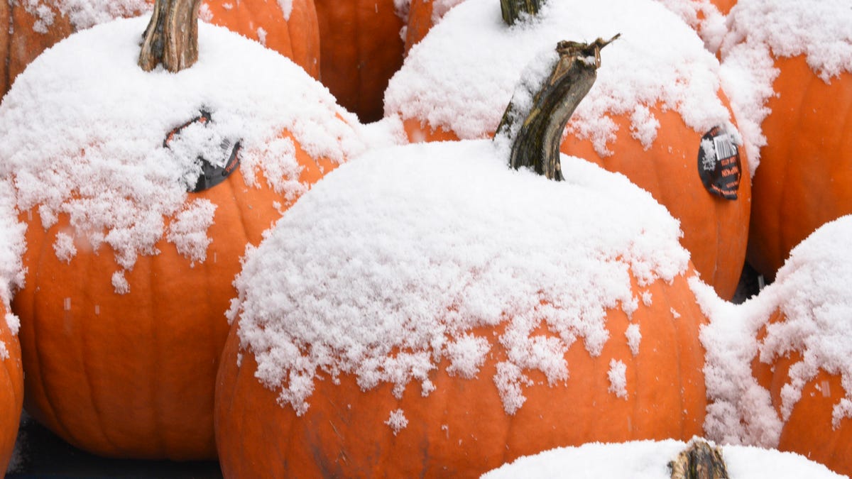 Care este prognoza meteo în Centrul Minnesota de Ziua Recunoștinței?