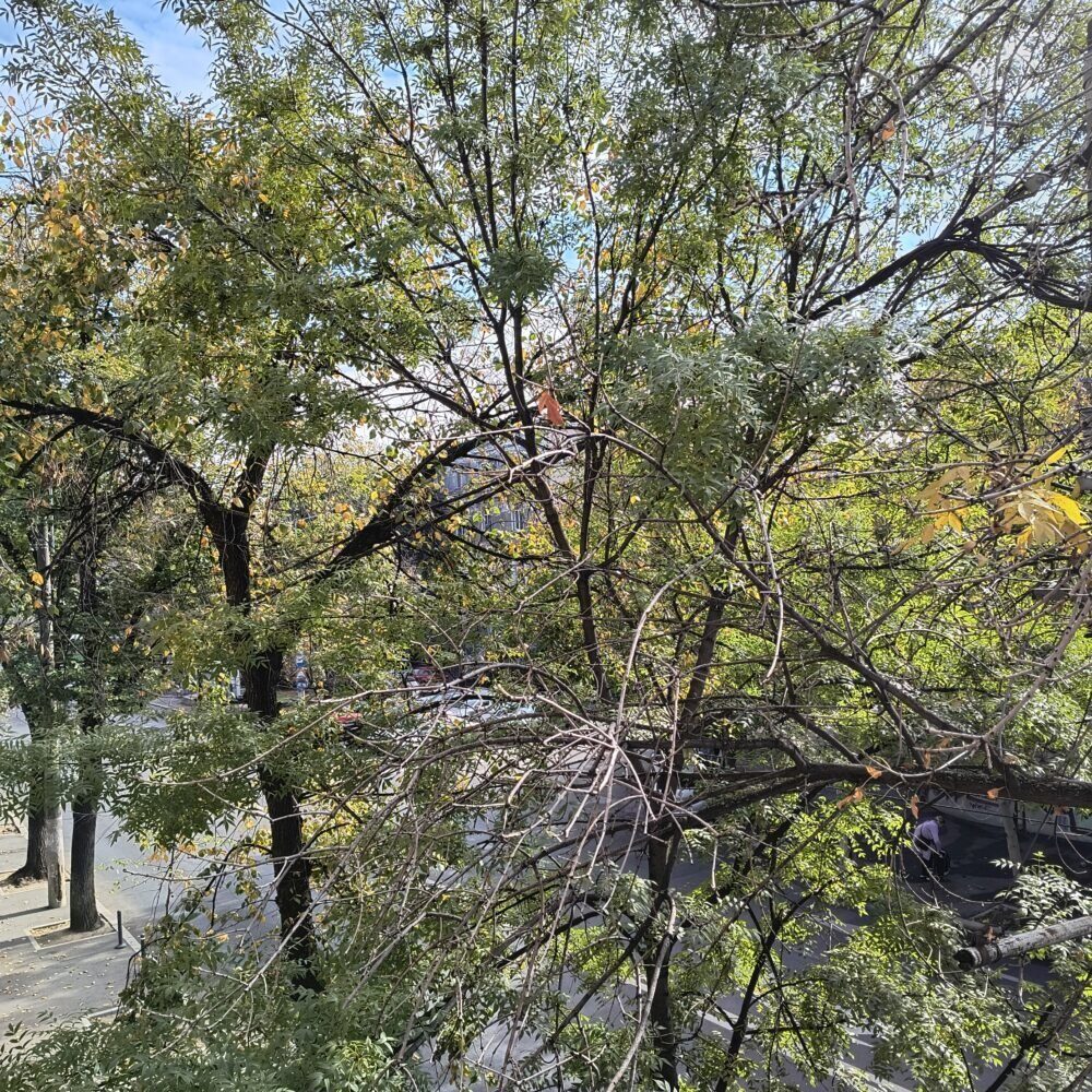 Prognoza meteo | Temperaturile vor crește în weekend la București, în timp ce joi și vineri se păstrează vremea răcoroasă