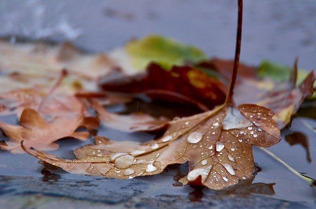 [ad_1] Temperaturi scăzute și precipitații în zona montană Vremea s-a răcit semnificativ comparativ cu ziua precedentă