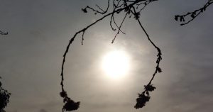 Prognoza meteo Met Office pentru Chard: 19-23 noiembrie 2025