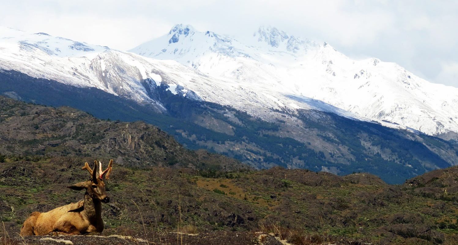 [ad_1] Doi turiști mexicani, doi germani și un britanic au pierdut viața când o furtună puternică a lovit rezervatia naturală Torres del Paine, situată în Patagonia, cea mai frecventată atracție turistică din Chile, au anunțat autoritățile locale, conform agenției de știri AFP