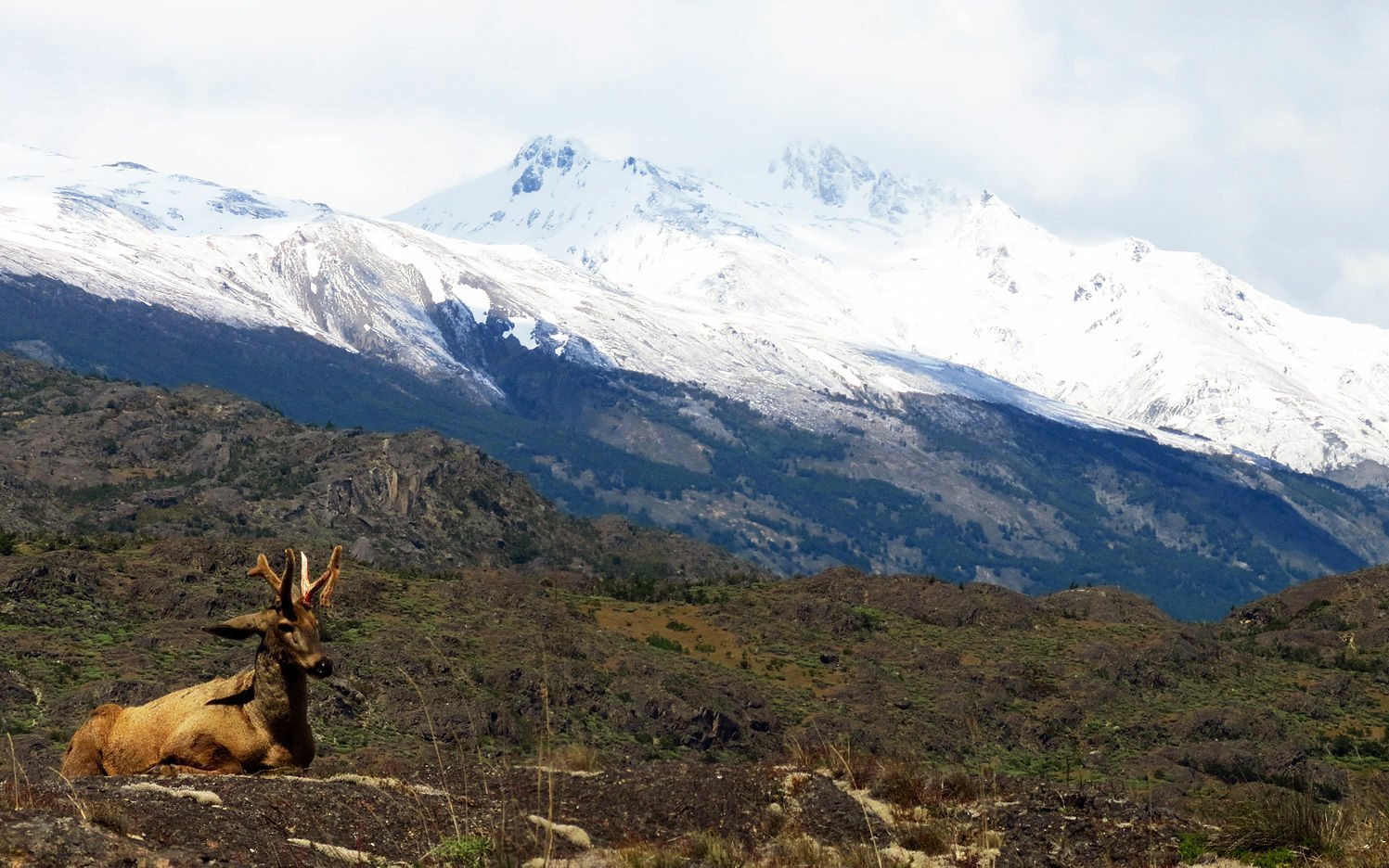 [ad_1] Doi turiști mexicani, doi germani și un britanic au pierdut viața când o furtună puternică a lovit rezervatia naturală Torres del Paine, situată în Patagonia, cea mai frecventată atracție turistică din Chile, au anunțat autoritățile locale, conform agenției de știri AFP