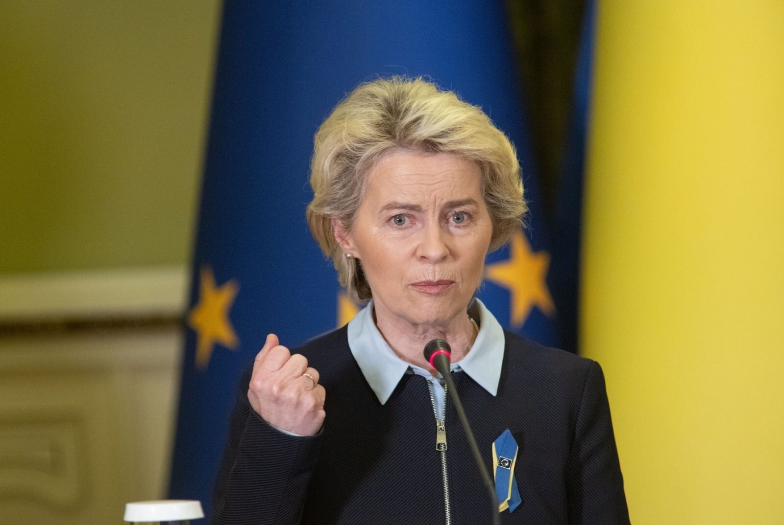 [ad_1] Liderii europeni și-au exprimat temerile legate de intențiile liderilor americani de a încheia conflictul din Ucraina