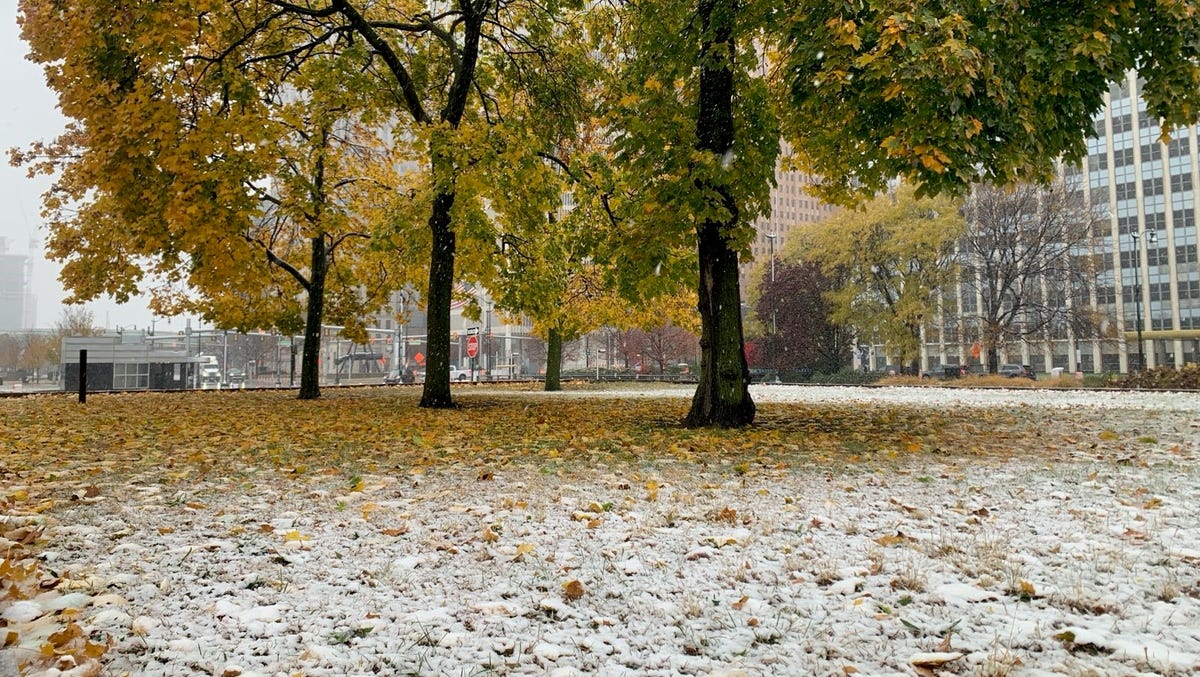 Locuitorii din Michigan se trezesc cu prima ninsoare serioasă a sezonului; pot apărea ninsori suplimentare.