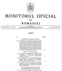 Anișoara Ulcelușe, însărcinată cu funcția de președinte AMEPIP; Nicolae-Bogdan-Codruț Stănescu și Oana-Mihaela Petrescu, îndrumați către rolul de vicepreședinți.