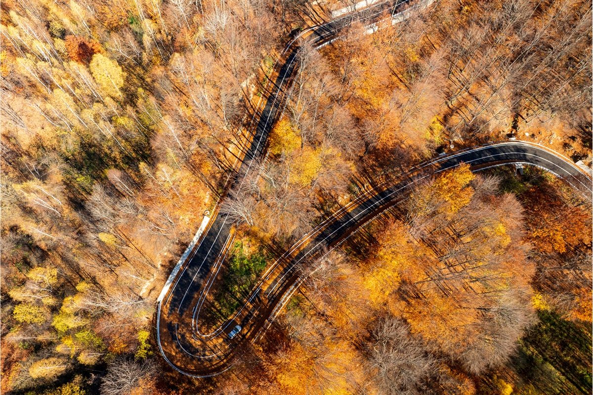 [ad_1] Drumul strategic DN2L, care leagă localitățile Soveja și Lepșa și traversează zona montană a Vrancei, a fost complet modernizat