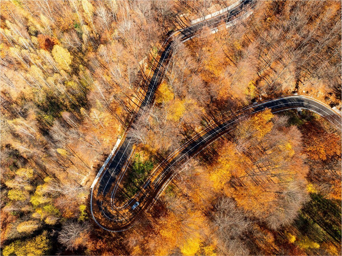 [ad_1] Drumul strategic DN2L, care leagă localitățile Soveja și Lepșa și traversează zona montană a Vrancei, a fost complet modernizat