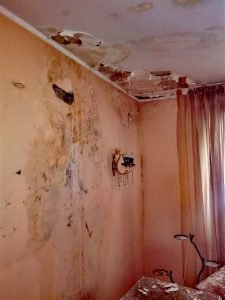 INS: 51% dintre locuințele din România au probleme de igrasie / 36,4% dintre gospodării sunt afectate de infiltrații prin acoperiș sau pereți