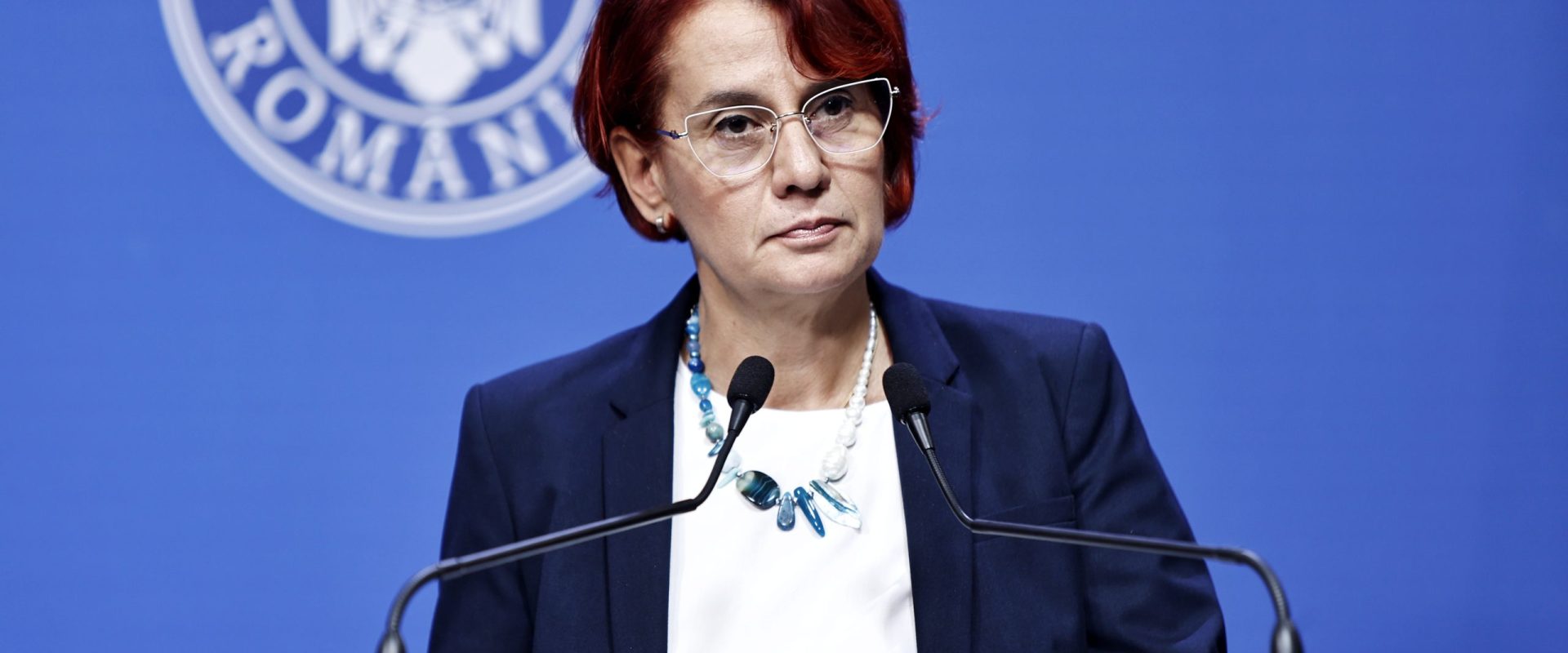 Ioana Dogioiu: La 23 septembrie, Mihai Barbu, liderul PNL Vaslui,