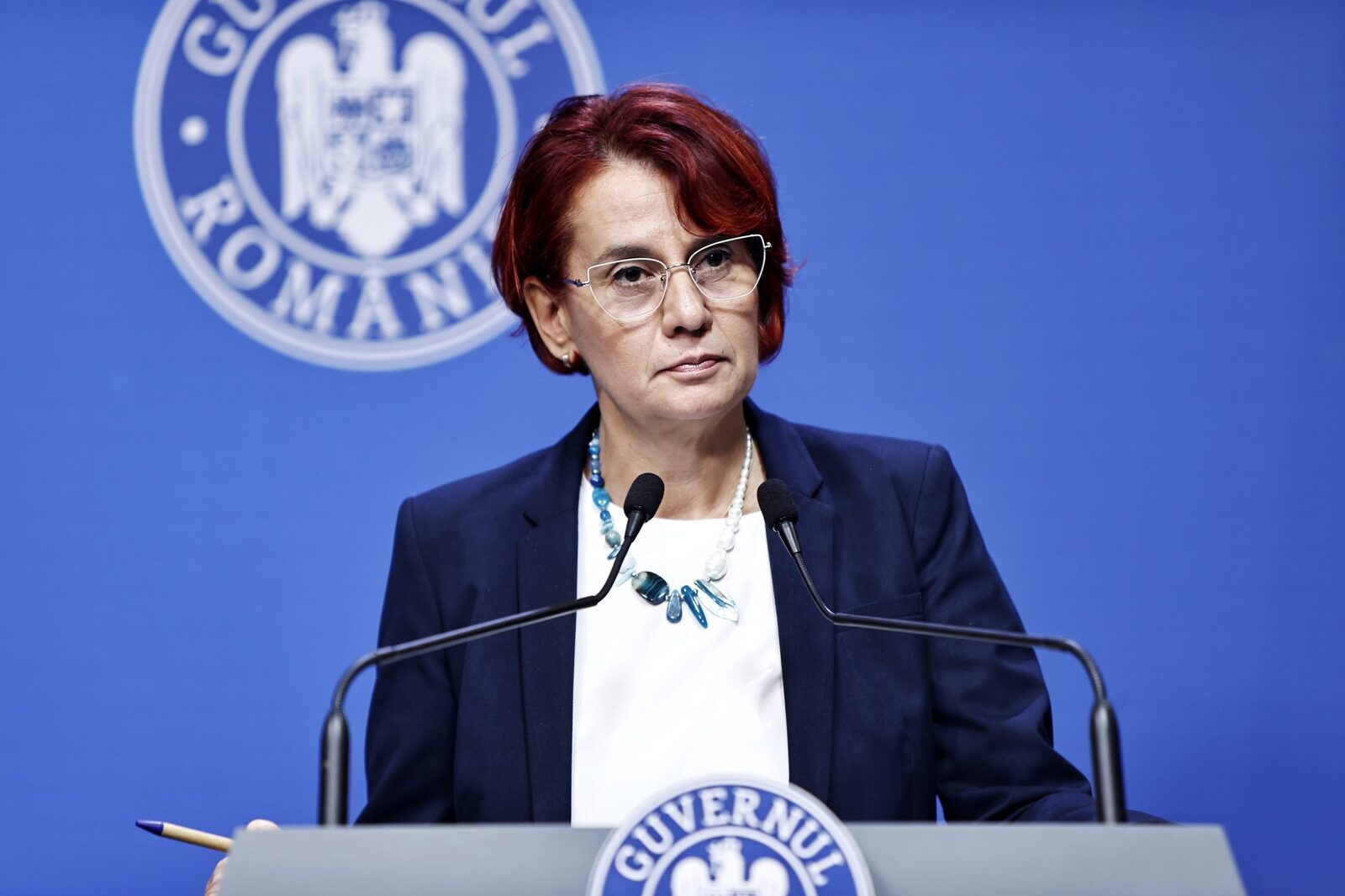 Ioana Dogioiu: La 23 septembrie, Mihai Barbu, liderul PNL Vaslui, a cerut o întâlnire cu prim-ministrul la Palatul Victoria, nu la Modrogan. A fost însoţit de Bogoş. Scopul întâlnirii a fost discutarea unor probleme politice specifice filialei.