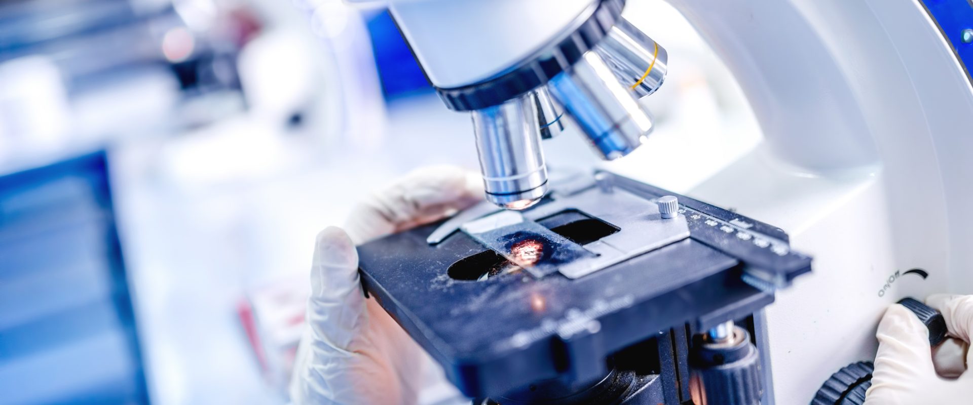 O descoperire revoluționară în biotehnologie: cercetătorii au reconstituit în laborator o structură similară cu măduva osoasă umană