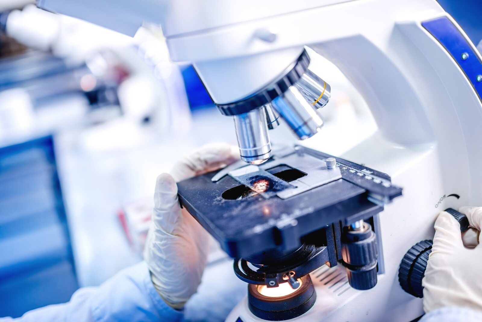 O descoperire revoluționară în biotehnologie: cercetătorii au reconstituit în laborator o structură similară cu măduva osoasă umană