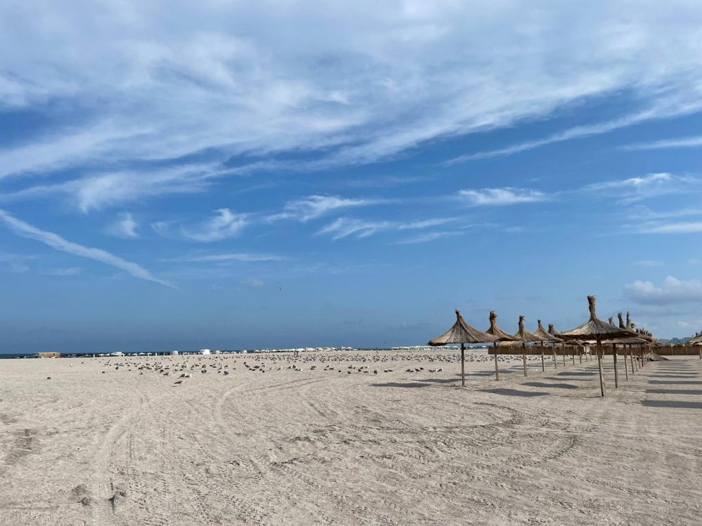 Nicuşor Dan trimite către CCR o contestaţie referitoare la legea