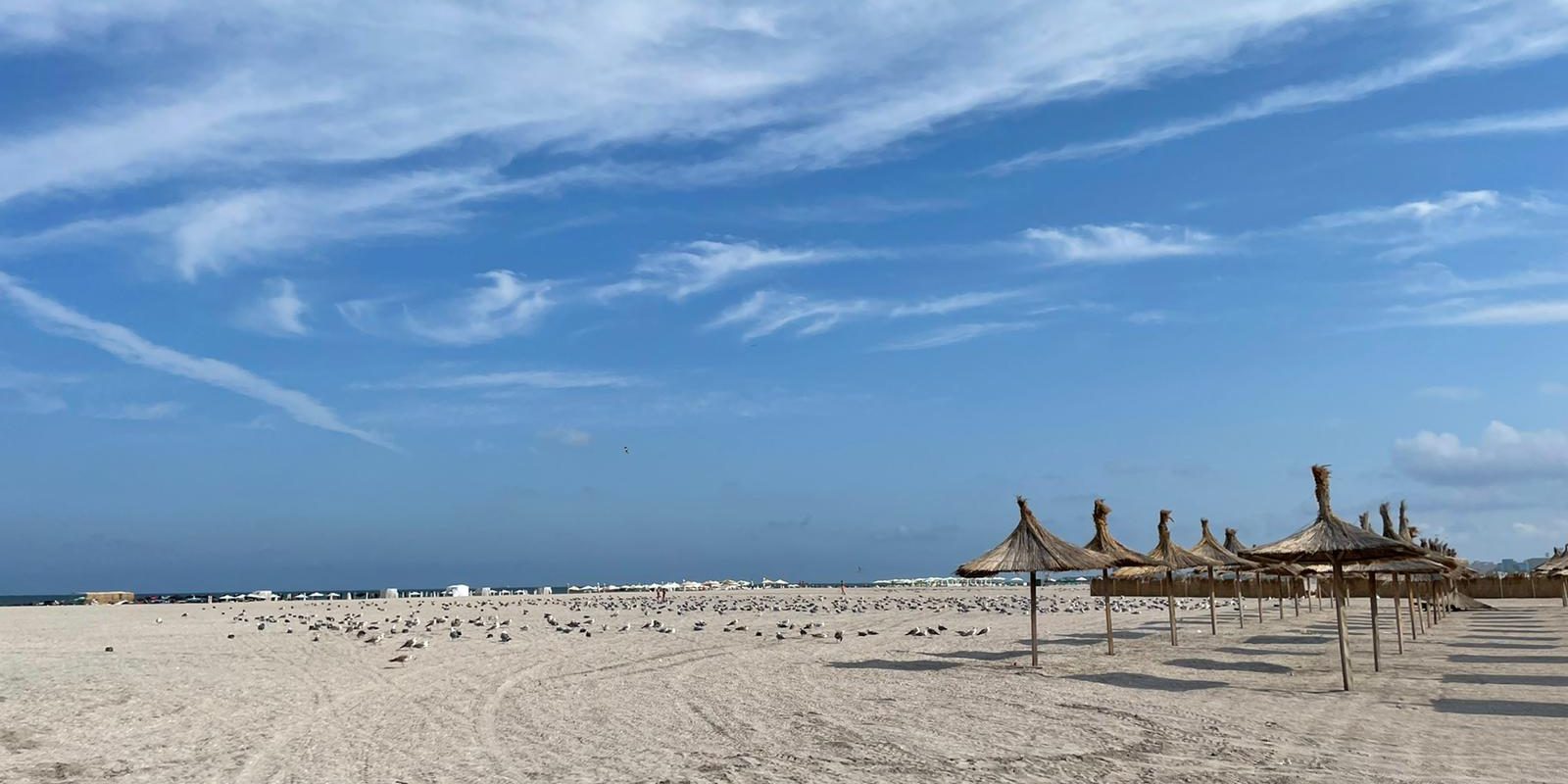 Nicuşor Dan trimite către CCR o contestaţie referitoare la legea