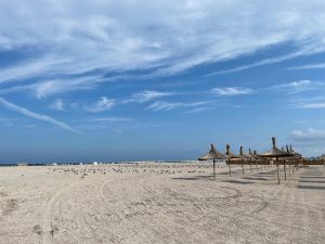 Nicuşor Dan trimite către CCR o contestaţie referitoare la legea legată de folosirea plajelor Mării Negre