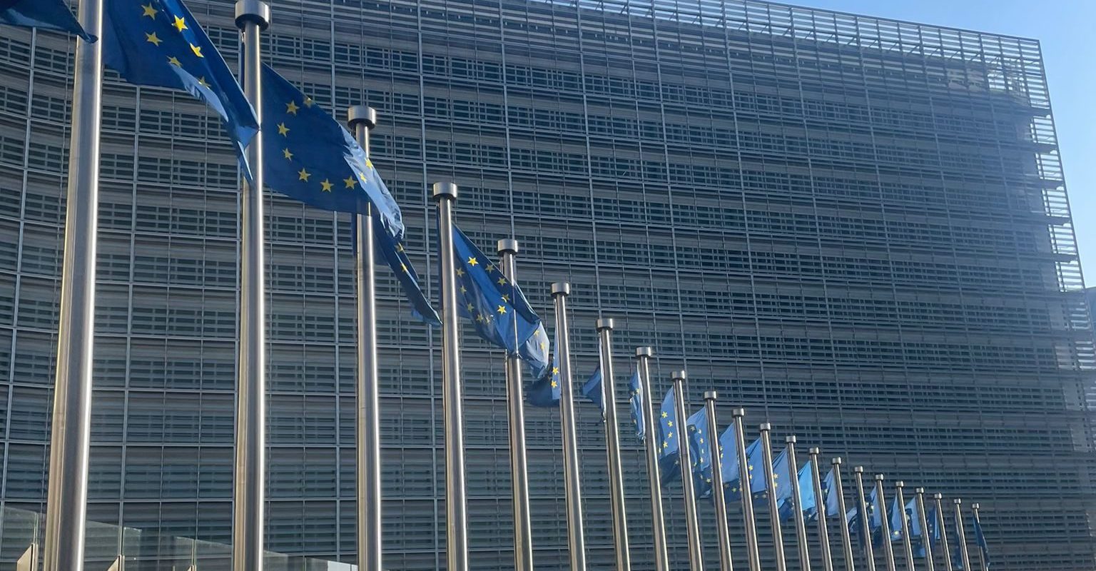 Uniunea Europeană ar putea diminua scopul climatologic legat de absorbția