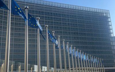 Uniunea Europeană ar putea diminua scopul climatologic legat de absorbția