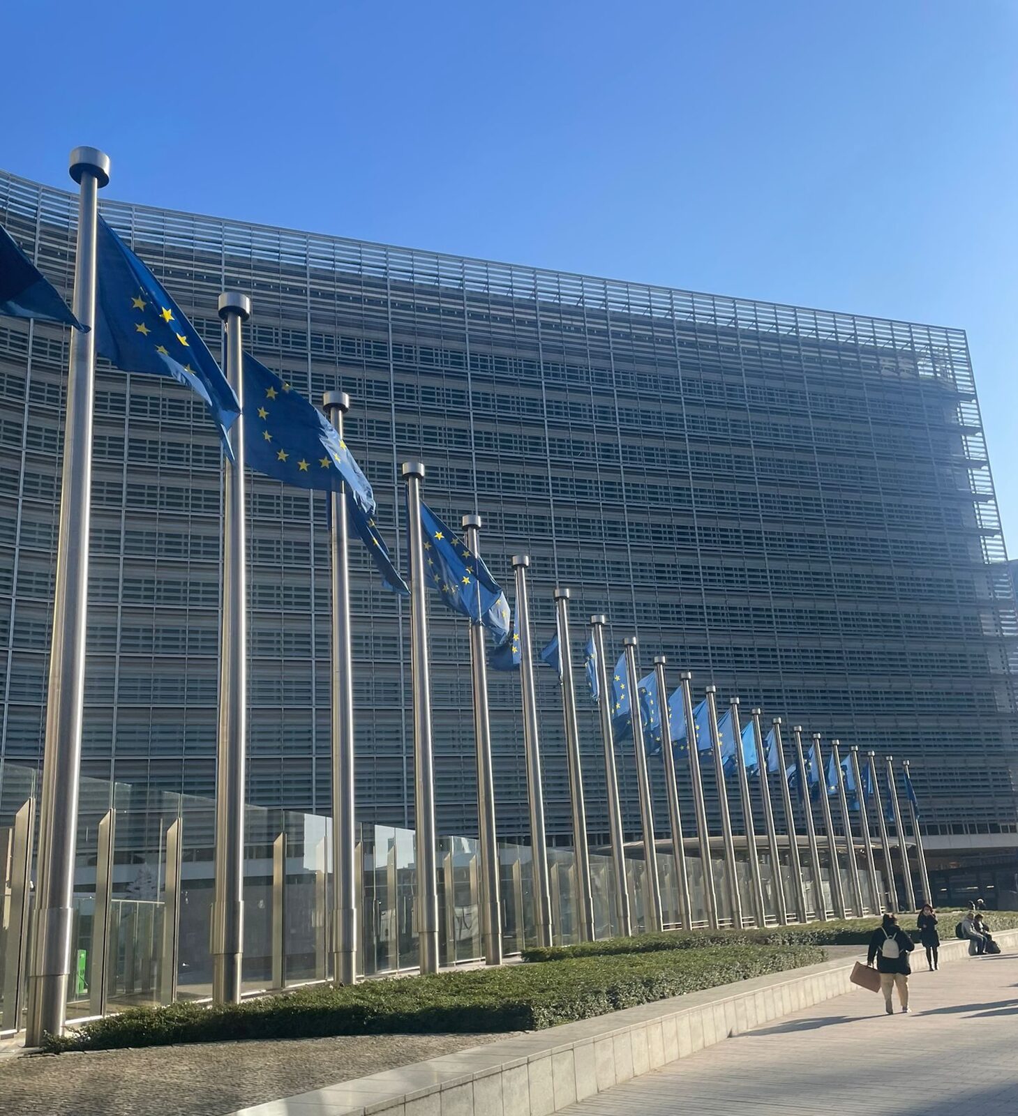 Uniunea Europeană ar putea diminua scopul climatologic legat de absorbția diioxidului de carbon de către păduri pentru anul 2040, conform unui proiect recent.