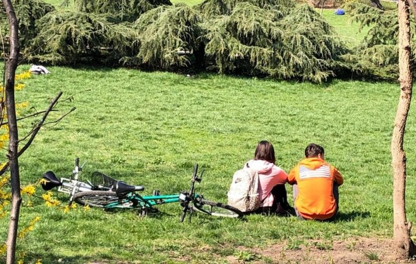 Primăria Sectorului 2 propune amenajarea unei parcări și a unui mic parc în apropierea Circului, într-o zonă aglomerată de trafic