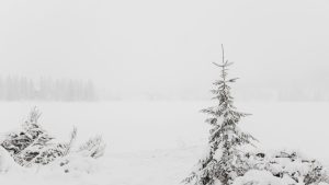 Autentică duminică de iarnă