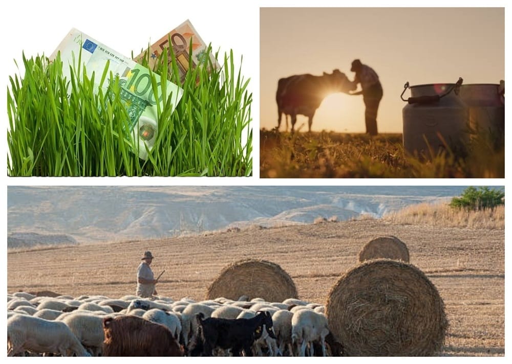 MADR Anunță Azi: Plăți pentru agricultori și crescători de animale!