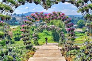 Bangkok Post – Uragane urmate de temperaturi mai scăzute în această săptămână