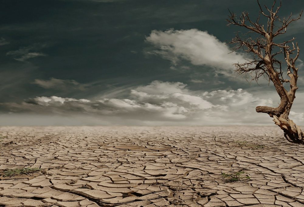 Studiu: Resursele de apă ale Europei se reduc din cauza schimbărilor climatice, zone extinse din sudul continentului se usucă, având consecințe semnificative; impact asupra României