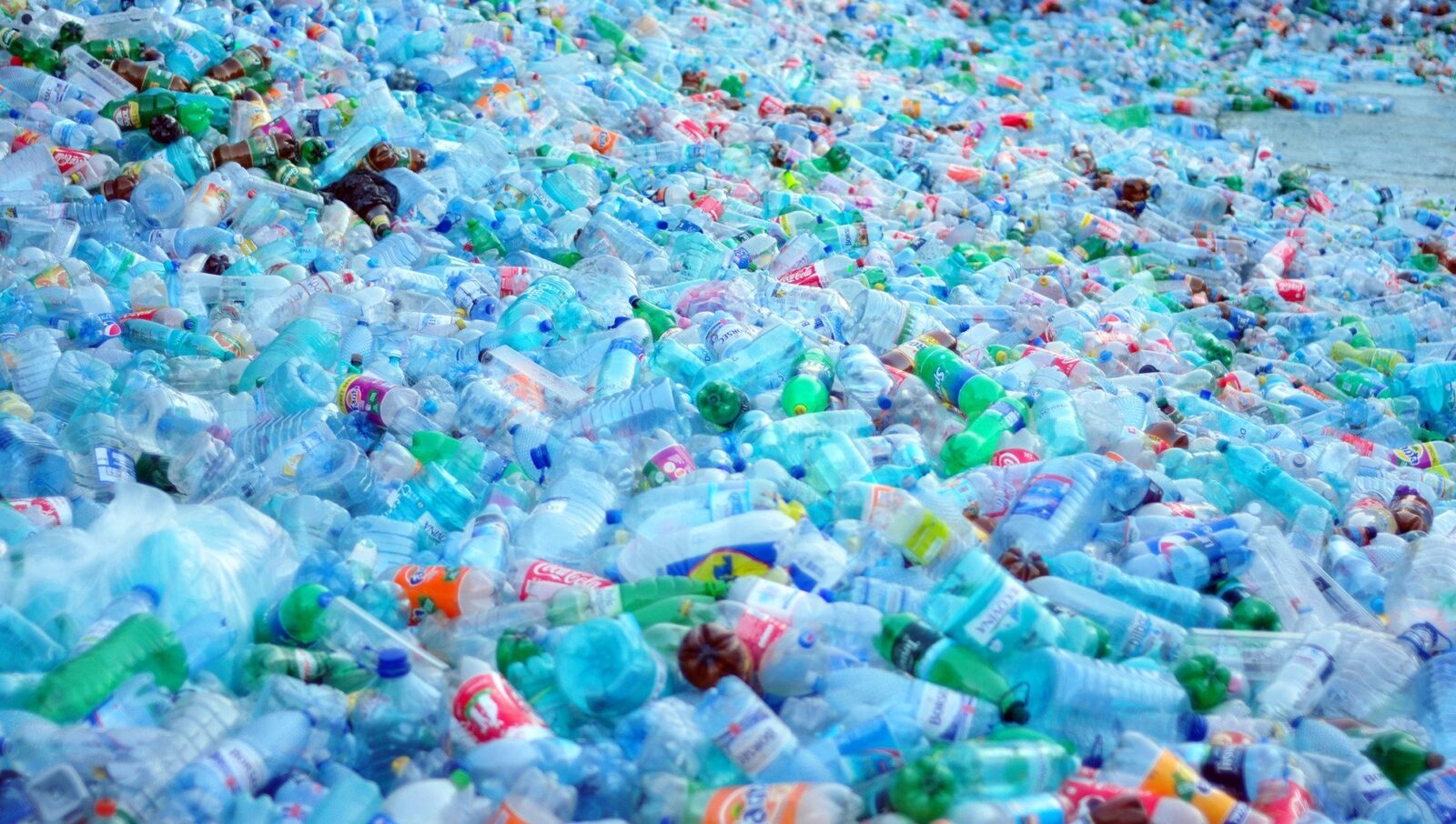 Ministerul Mediului: Problematica sistemului de reciclare din România cauzează pierderi financiare mari industriei și necesită parteneriate cu organizații pentru responsabilitatea extinsă a producătorului