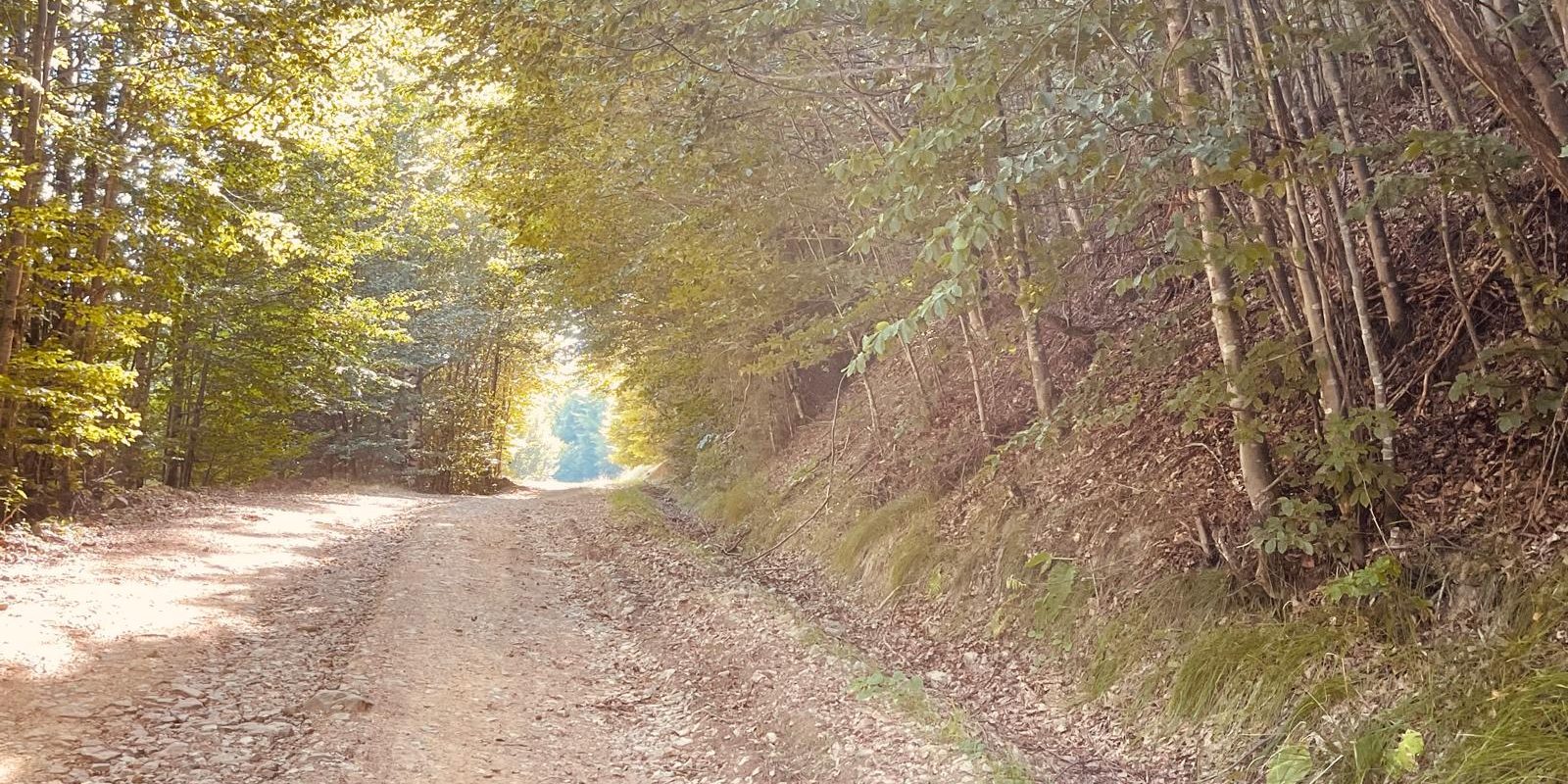 [ad_1] Un tânăr din județul Cluj și-a pierdut viața sâmbătă seara, după ce a răsturnat mașina în albia unui râu din zona Ocoliş