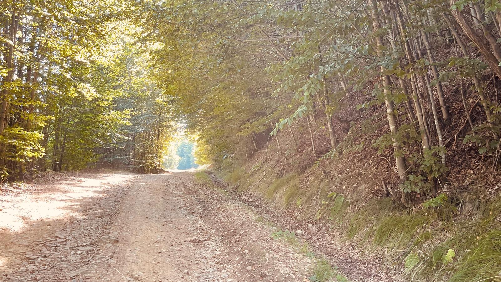 [ad_1] Un tânăr din județul Cluj și-a pierdut viața sâmbătă seara, după ce a răsturnat mașina în albia unui râu din zona Ocoliş