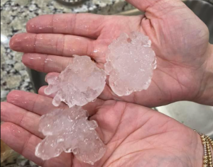 Starul din Vestul Kentucky – Știri