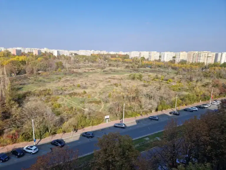 Ordonanța ce transformă tăierea ilegală a copacilor în infracțiune a fost supusă dezbaterii publice, fiind inspirată de defrișările din Parcul IOR