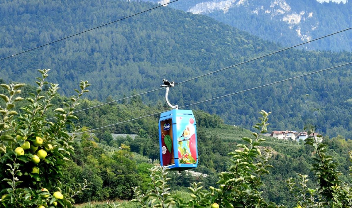 Primele mere din lume transportate și păstrate în peșteri naturale folosind telecabina, în nordul Italiei, unde instalația combinează transportul fructelor cultivare pe versanți cu producția de energie.