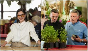 Schimbări majore în „Chefi la cuțite”: Irina Fodor dezvăluie noile reguli pe 16 noiembrie 2025.