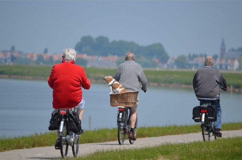 Topul țărilor în care pensionarii își păstrează activitatea, cu Estonia și Norvegia în frunte, procentul în Europa fiind de circa 20%
