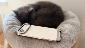 Motivul problemelor aplicațiilor pe iPhone după actualizare