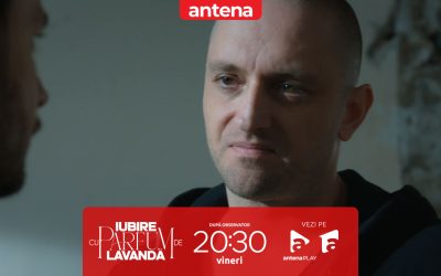 Iubire cu parfum de lavandă | Sezonul 3 | Episodul 47, 26 decembrie 2025. Albert vrea să o ucidă și pe Chanela: Tu o omori! Nu vreau să spună nimic nimănui | Video