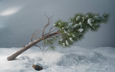 Tomboló ciklon tart Magyarország felé: északon 150 kilométer per órás széllökéseket is mértek