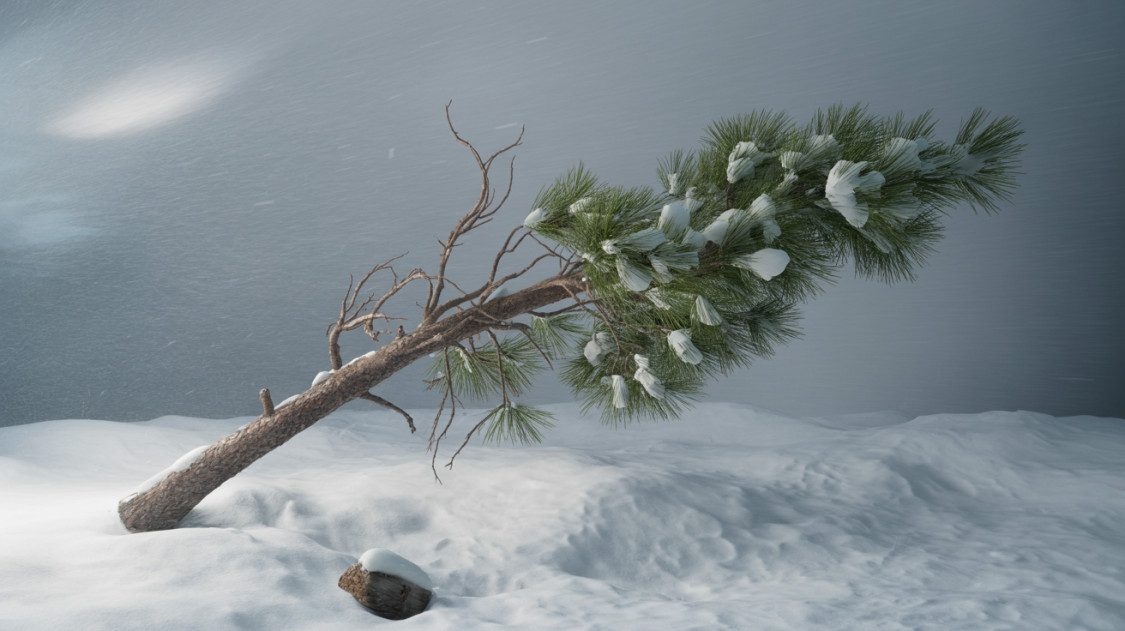 Tomboló ciklon tart Magyarország felé: északon 150 kilométer per órás széllökéseket is mértek