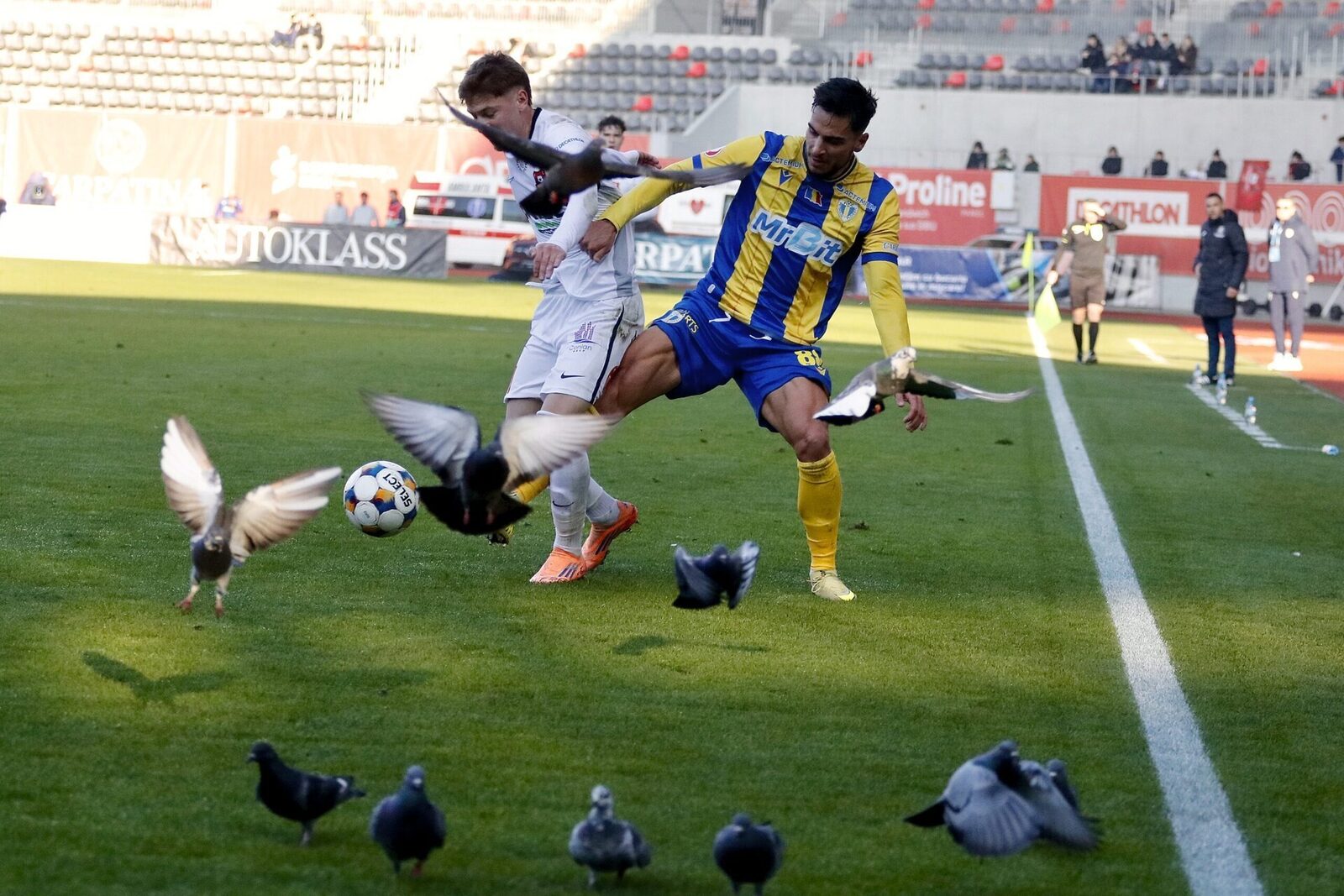 [ad_1] Meciul Hermannstadt – Petrolul Ploiești, parte din etapa 21 a Superligii, s-a încheiat la egalitate, 1-1, după o confruntare intensă la Stadionul Municipal din Sibiu