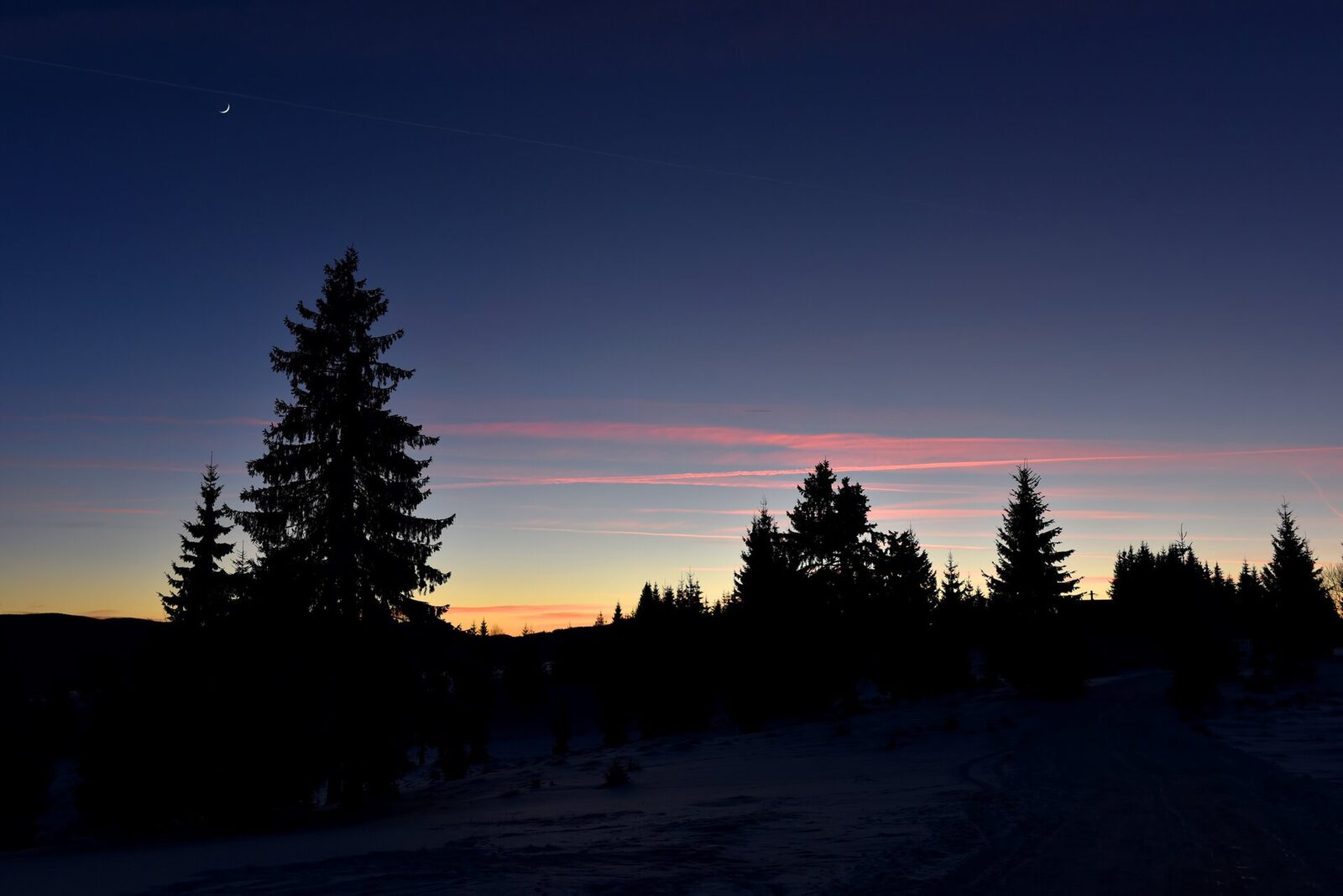 Iarna astronomică debutează duminică, 2025, la 17:03, în cadrul solstițiului de iarnă.