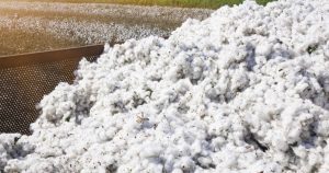 Executivul va plăti o obligație de peste 30 de ani către SUA pentru un împrumut de bumbac.