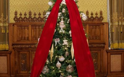 Nicuşor Dan, liderul naţional – transmite un mesaj de Crăciun: